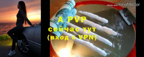 мяу мяу мука Инта