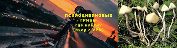 мяу мяу мука Инта