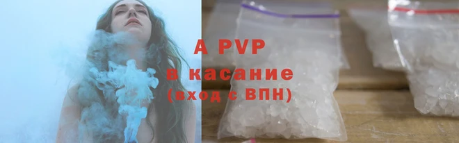 мяу мяу мука Инта
