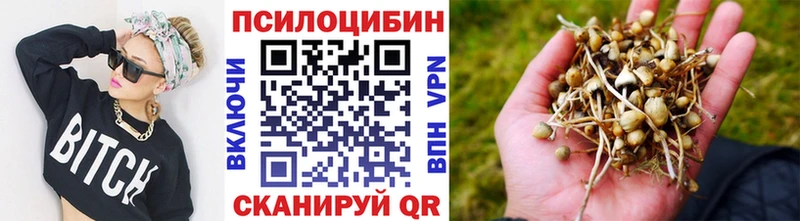 blacksprut зеркало  маркетплейс состав  Новочеркасск  Галлюциногенные грибы мицелий  хочу  